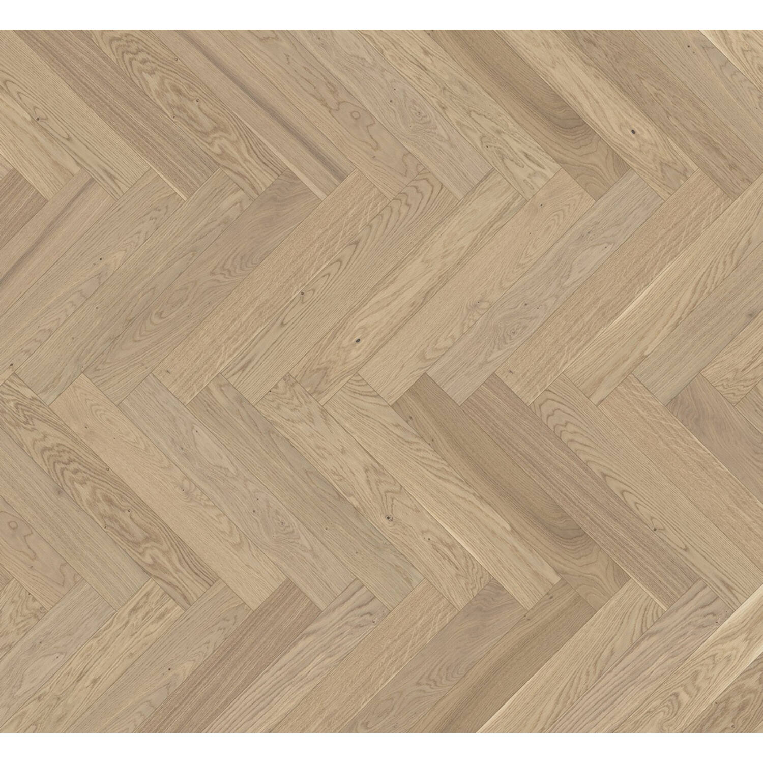 PARADOR Parket Trendtime 3 Eiken pure visgraat mat